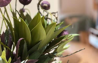 Petite Fleur - Photo 5