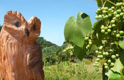 Lahnhaus Brühl/ Fende Haus - Foto 51