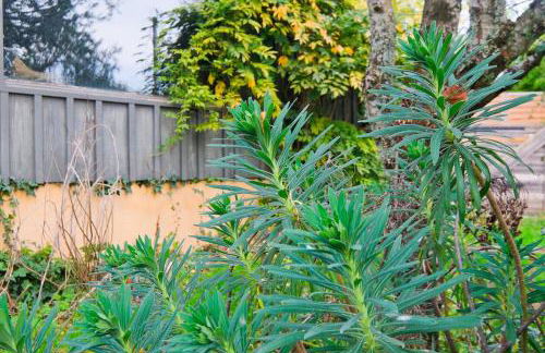 Le petit chalet - Foto 36