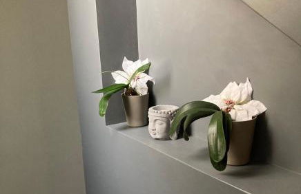 Villa piscine 6km de Cassis 12 couchages - Foto 7