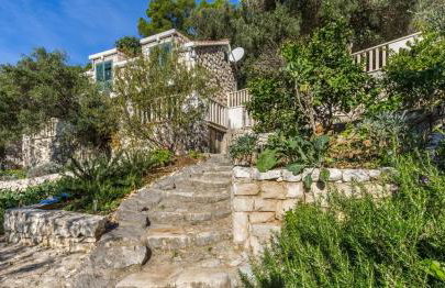 Pansion Mali Raj - Photo 13