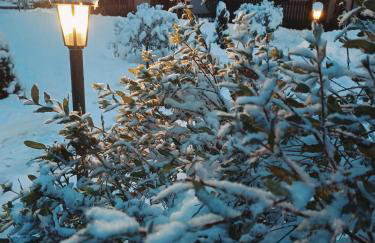 Domki nad Strumykiem-Solina - Foto 42