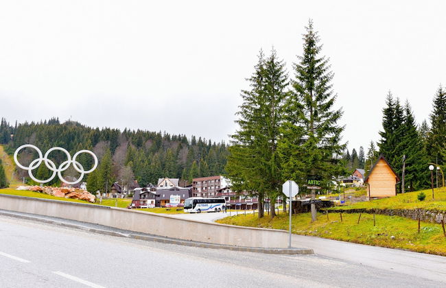 Villa Deja Jahorina - Foto 35