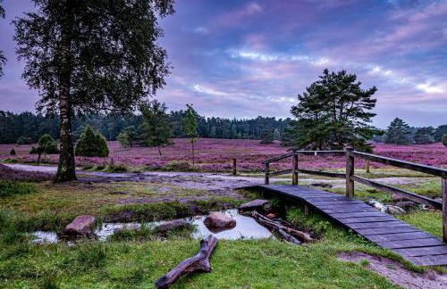 Heidehof Oberhaverbeck - Foto 48