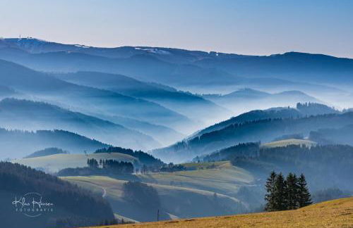 Hus im Schwefelmättle, Hinterzarten - Foto 13