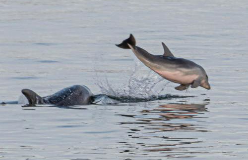 Luxury Poetto Apartments - Foto 52