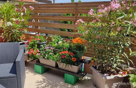 Les Bonbonieres d'Andrea Gavinies Pellegrin - Foto 42