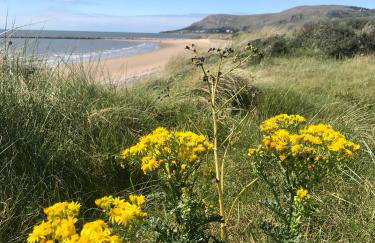 Great Orme Cottage, Llandudno - The Best of Rural & Coast! - Foto 32