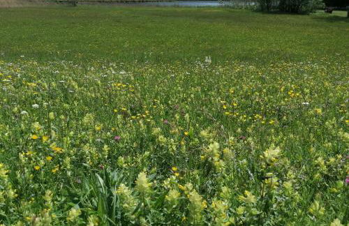 Ferienwohnung Allgäuflair - Foto 28