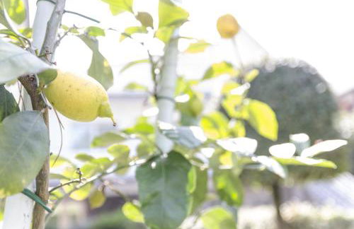 Appartamenti Federica - Foto 54