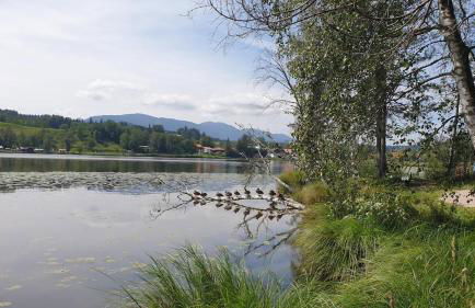 Frisch renoviertes BergSeeNest - Foto 20