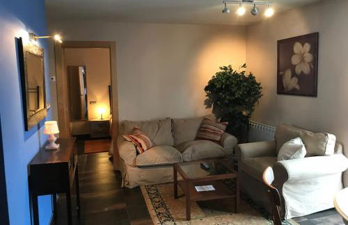 Apartamentos Ebro Reinosa - Foto 43