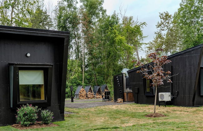 Finger Lakes Treehouse & Spa - Foto 38