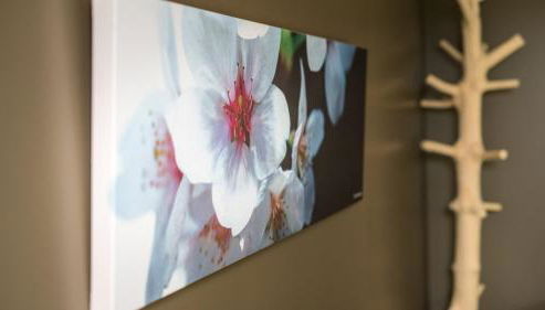 Cottage "Les ETANGS" à quelques pas du Lac de la forêt d'Orient - Les Cottages du Belvédère - Foto 4