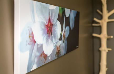 Cottage "Les ETANGS" à quelques pas du Lac de la forêt d'Orient - Les Cottages du Belvédère - Foto 4