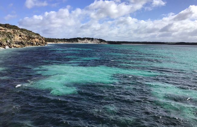 Koopalanda Dreaming - Foto 1