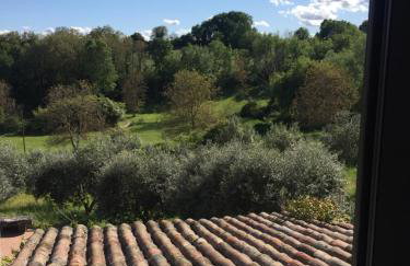 GITE COCOTTE - Foto 25