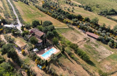 L'Aquila e L'Ulivo - Foto 15