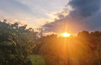 Oaza mira Kris - Photo 72
