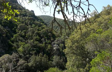 Casa Vacanze Paola 2 - Photo 28