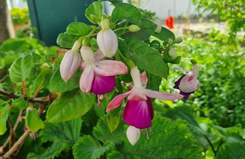 CASA DA ANONEIRA by Stay in Alentejo - Foto 24