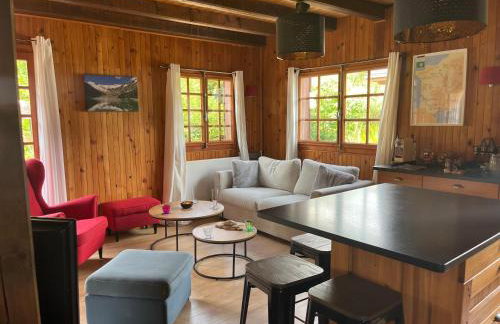 Chalet, vue sur la vallée, Domaine skiable Grand Massif - Foto 12