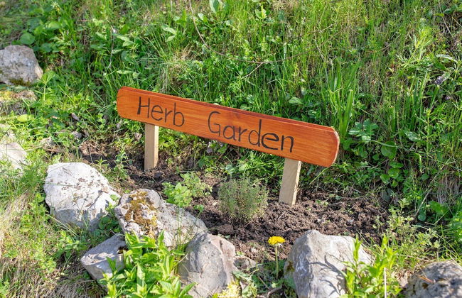 Butterfly place - Foto 22