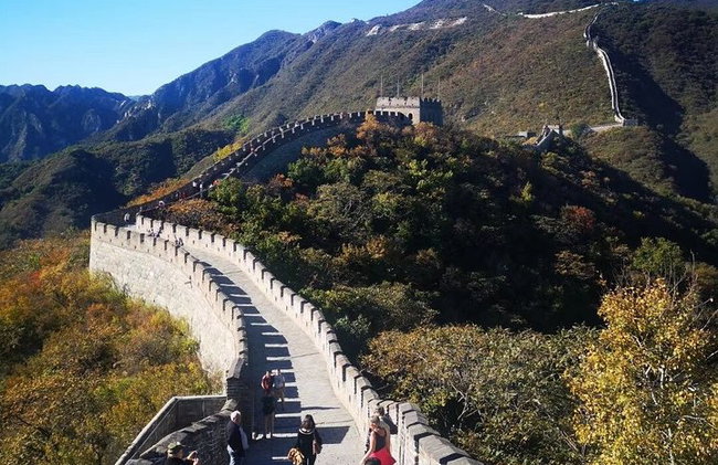 Tour privato di 11 giorni a Shanghai, crociera sul fiume Yangtze, Chongqing, Xi'an e Pechino - Foto 4