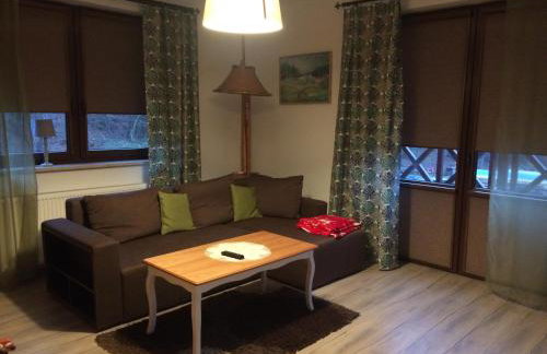Apartament Pod Skarpą z balią Wieżyca - Foto 12