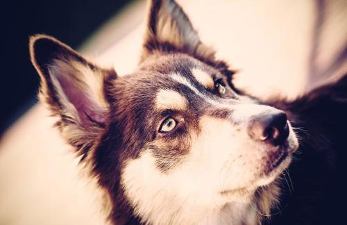 GURE-LUR casa rural - Foto 44