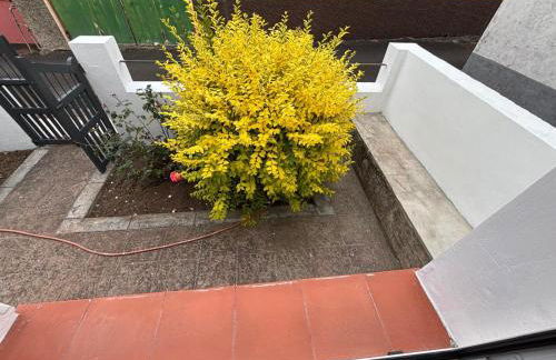 Las Rosas de Clara - Foto 16