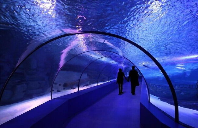 Yücemek Apart - Foto 32