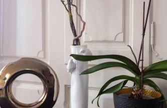 LA FERME D'ELISA - Foto 8