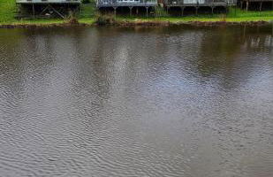 Dillons Lakeside Lodge - Photo 32