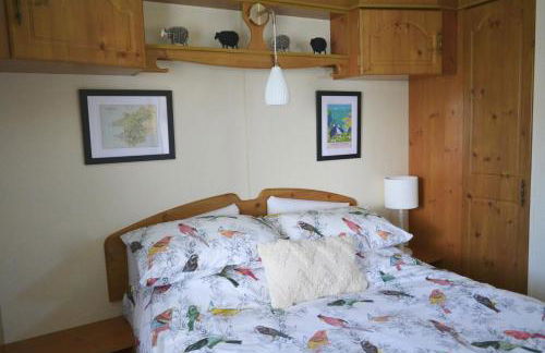 Swallows Return - Foto 13