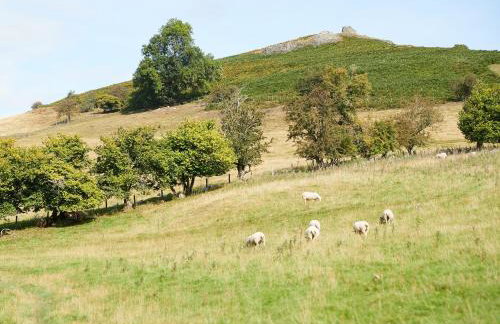 Unconformity Barn - Foto 19