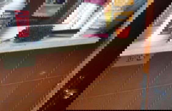 Aconchego dos schreiber - Foto 9