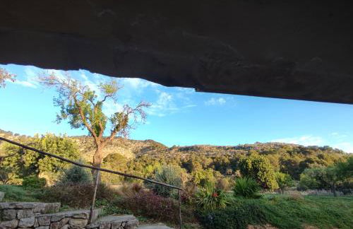 Agroturisme Subies - Foto 36