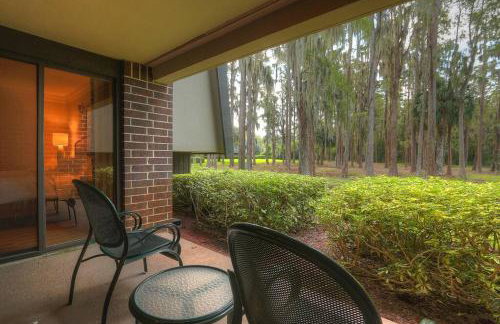 Luxury 1 Bedroom Condo in Palm Harbor Florida 2 Miles From Beach by David Rigney Real Estate Solutions - Foto 42