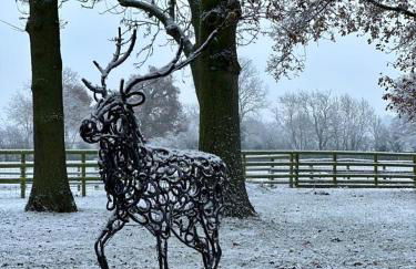 Annexe at The Chalet - A one bedroom annexe with gorgeous countryside views - Foto 16