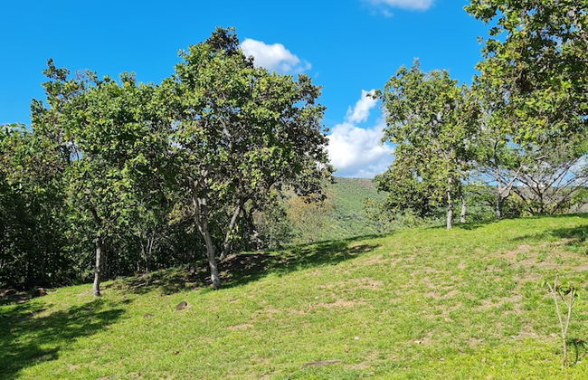 Cabañas Vacacionales Pa Lo Alto - Foto 16