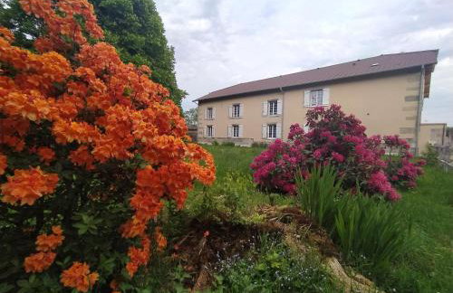 Le Faing Du Bray - Foto 9