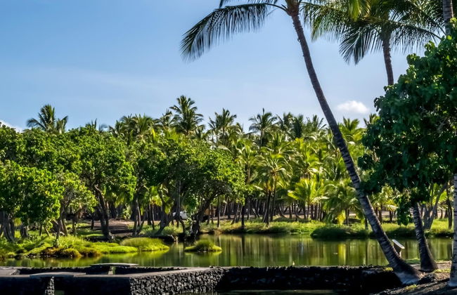 Islands at Mauna Lani IML-E4 by KBM - Foto 15