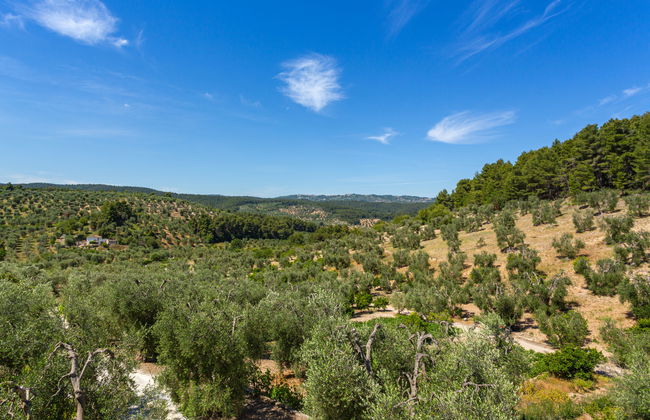 Villa Tavaglione - Foto 19