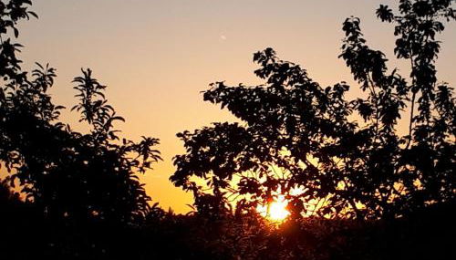 Ferienwohnungen Herbst - Photo 5