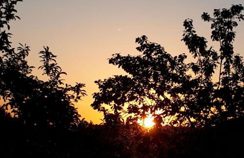 Ferienwohnungen Herbst - Photo 5