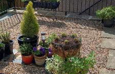 The Hideaway - Foto 29