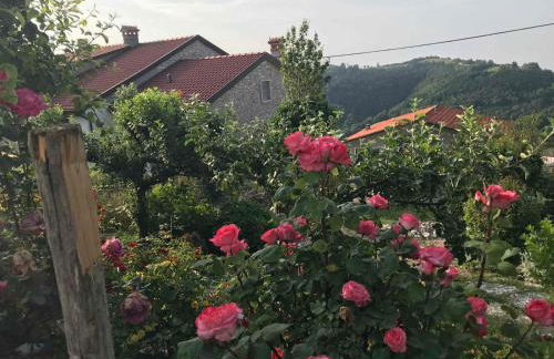 Casadelsale - Foto 19