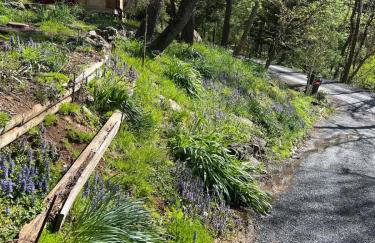 Cozy Cabin Escape Hot Tub & Lake Access - Foto 29