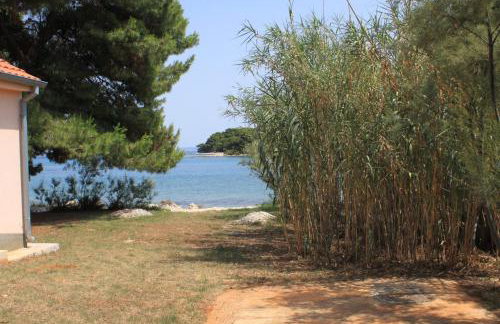 Family friendly seaside apartments Ugljan - 828 - Foto 10